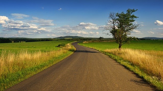 Walka ze szkodnikami w uprawach